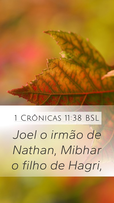 1 Crônicas 11:38 BSL Bible Verse Image