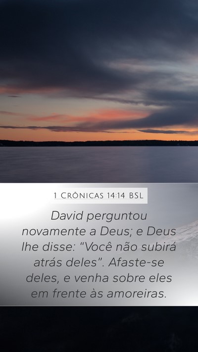 1 Crônicas 14:14 BSL Bible Verse Image