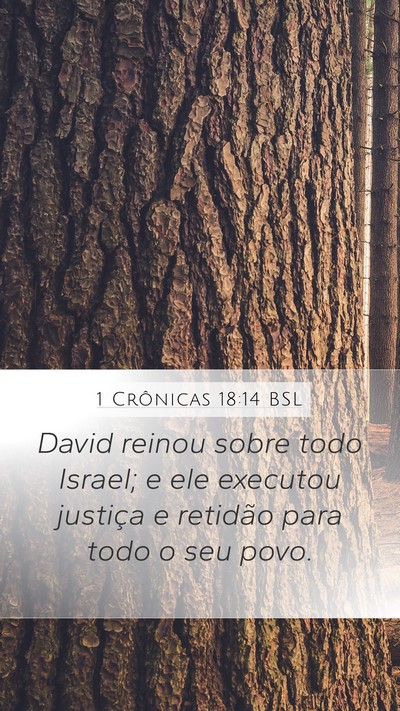 1 Crônicas 18:14 BSL Bible Verse Image