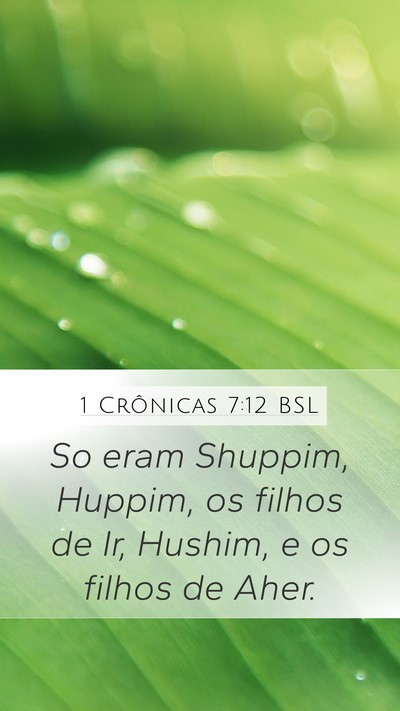 1 Crônicas 7:12 BSL Bible Verse Image