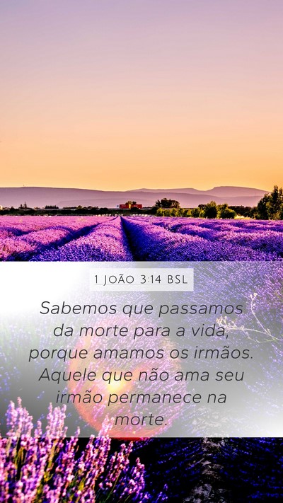 1 João 3:14 BSL Bible Verse Image