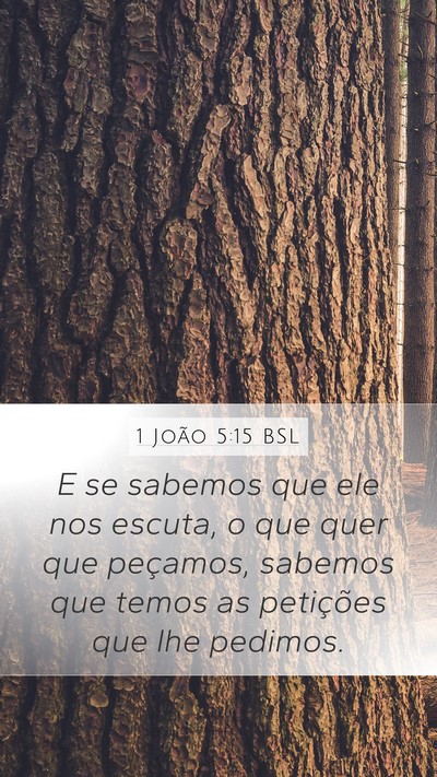 1 João 5:15 BSL Bible Verse Image