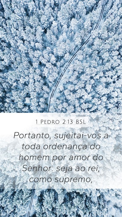 1 Pedro 2:13 BSL Bible Verse Image