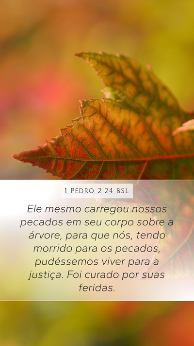 1 Pedro 2:24 BSL Bible Verse Image