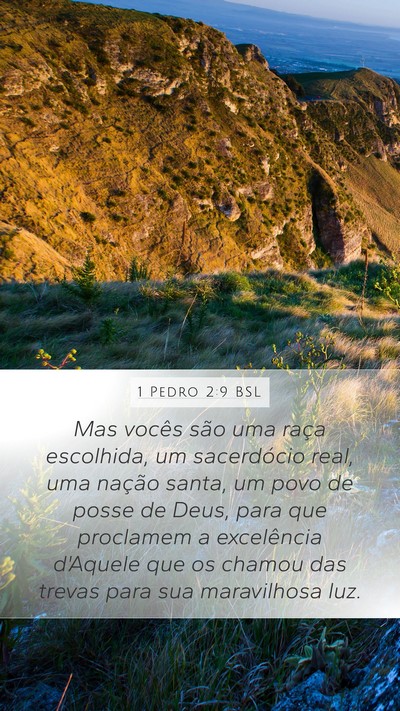 1 Pedro 2:9 BSL Bible Verse Image