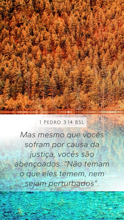 1 Pedro 3:14 BSL Bible Verse Image