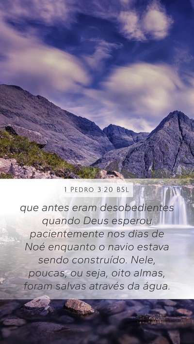 1 Pedro 3:20 BSL Bible Verse Image