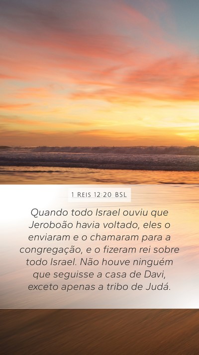 1 Reis 12:20 BSL Bible Verse Image
