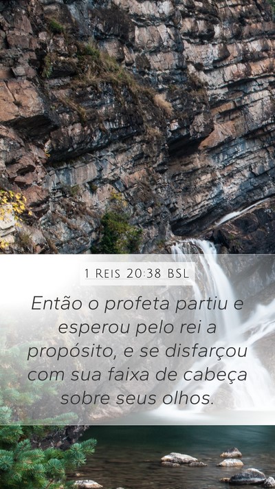 1 Reis 20:38 BSL Bible Verse Image