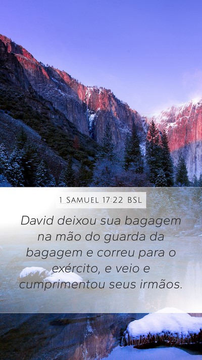 1 Samuel 17:22 BSL Bible Verse Image