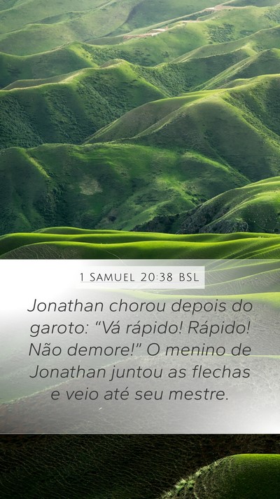 1 Samuel 20:38 BSL Bible Verse Image