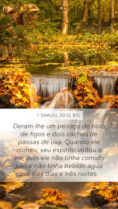 1 Samuel 30:12 BSL Bible Verse Image