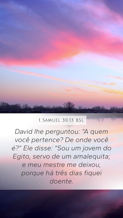 1 Samuel 30:13 BSL Bible Verse Image
