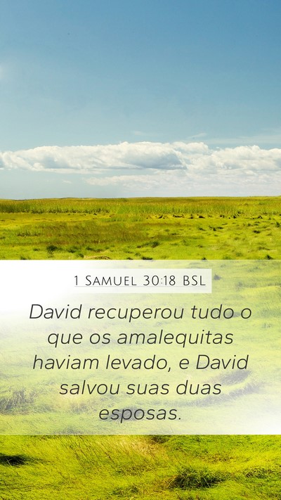 1 Samuel 30:18 BSL Bible Verse Image