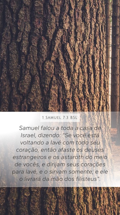 1 Samuel 7:3 BSL Bible Verse Image
