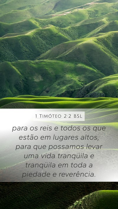 1 Timóteo 2:2 BSL Bible Verse Image
