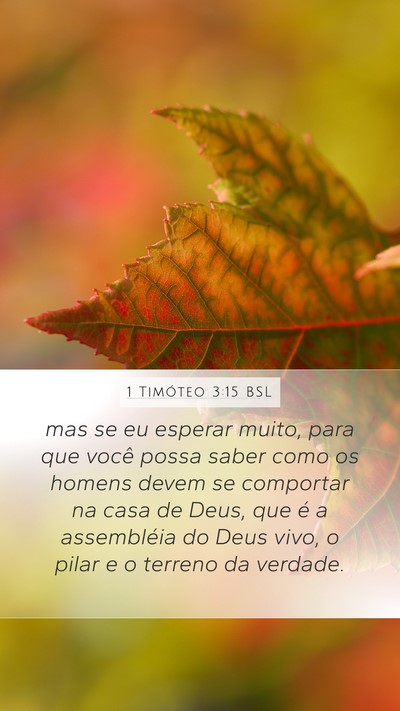 1 Timóteo 3:15 BSL Bible Verse Image