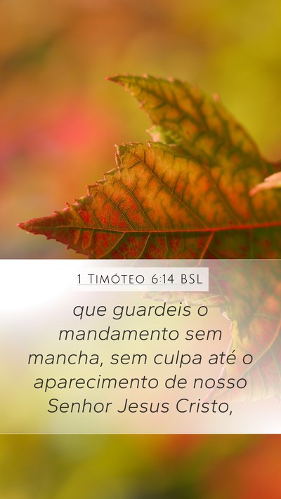 1 Timóteo 6:14 BSL Bible Verse Image