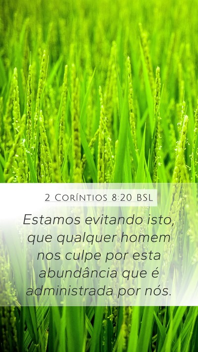 2 Coríntios 8:20 BSL Bible Verse Image