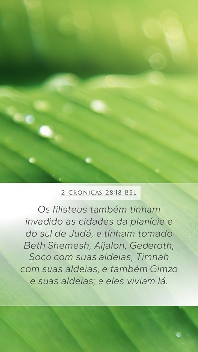 2 Crônicas 28:18 BSL Bible Verse Image