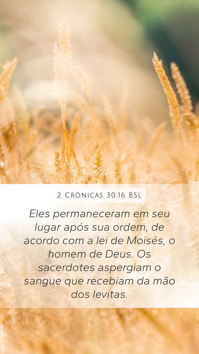 2 Crônicas 30:16 BSL Bible Verse Image