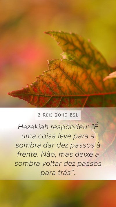 2 Reis 20:10 BSL Bible Verse Image