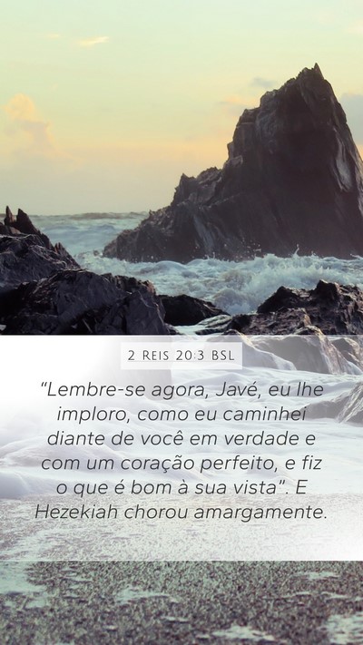 2 Reis 20:3 BSL Bible Verse Image