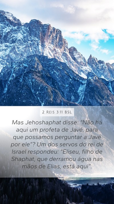 2 Reis 3:11 BSL Bible Verse Image