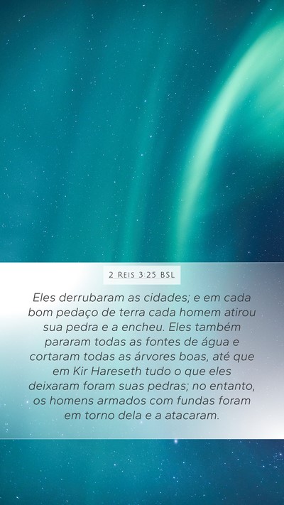 2 Reis 3:25 BSL Bible Verse Image
