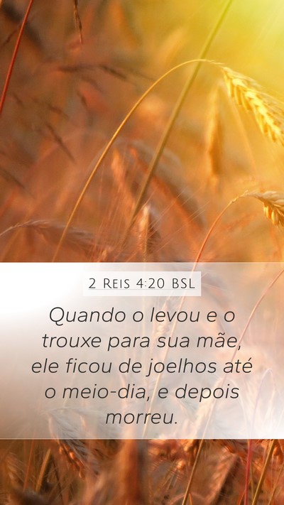 2 Reis 4:20 BSL Bible Verse Image