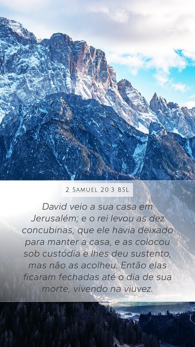 2 Samuel 20:3 BSL Mobile Phone Wallpaper - David veio a sua casa em Jerusalém; e o rei - Mobile Bible Verse Wallpaper