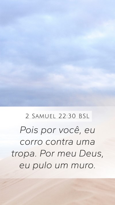 2 Samuel 22:30 BSL Bible Verse Image