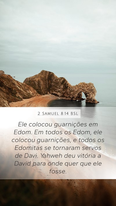 2 Samuel 8:14 BSL Bible Verse Image