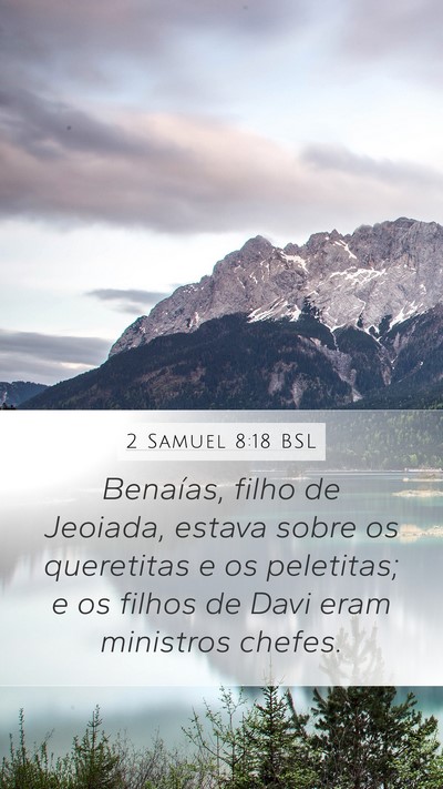 2 Samuel 8:18 BSL Bible Verse Image