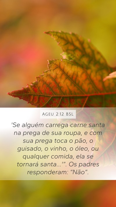 Ageu 2:12 BSL Bible Verse Image