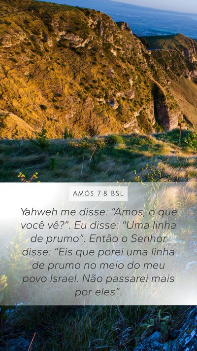 Amós 7:8 BSL Bible Verse Image