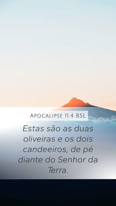 Apocalipse 11:4 BSL Bible Verse Image