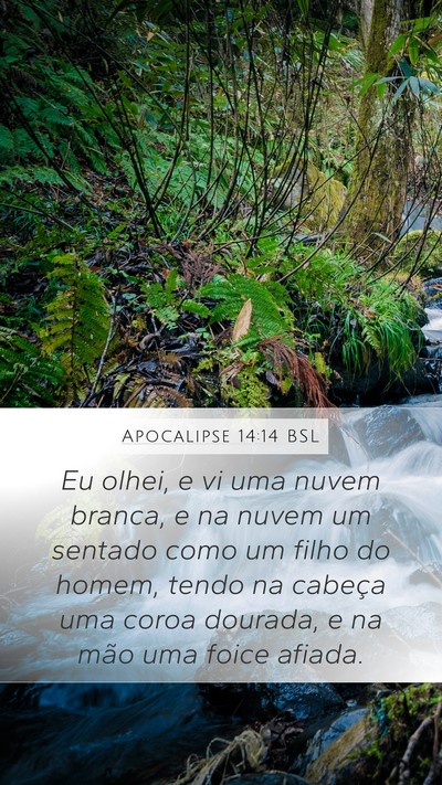 Apocalipse 14:14 BSL Bible Verse Image