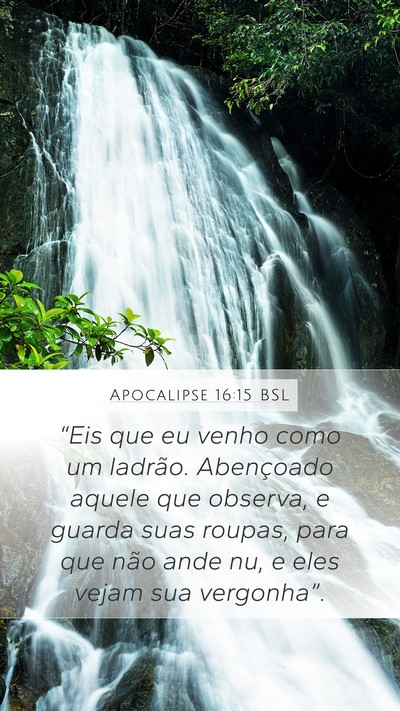 Apocalipse 16:15 BSL Bible Verse Image