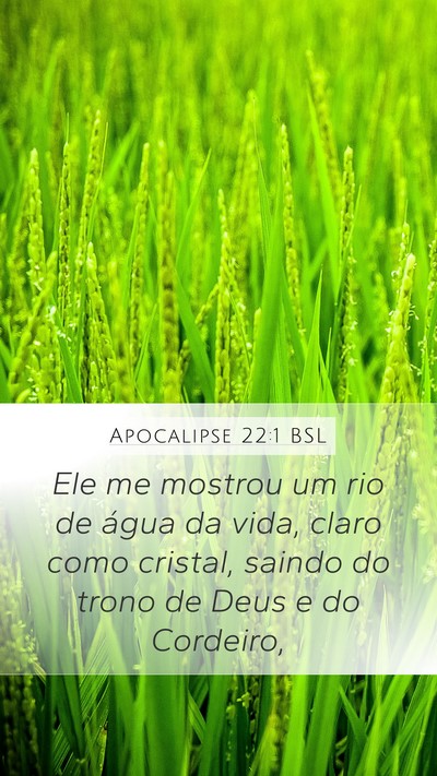 Apocalipse 22:1 BSL Bible Verse Image