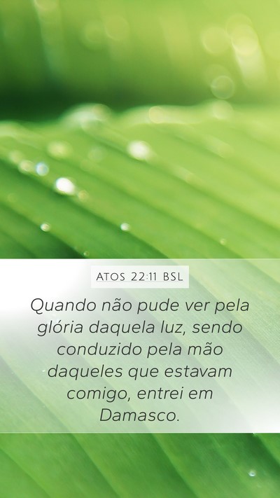 Atos 22:11 BSL Bible Verse Image