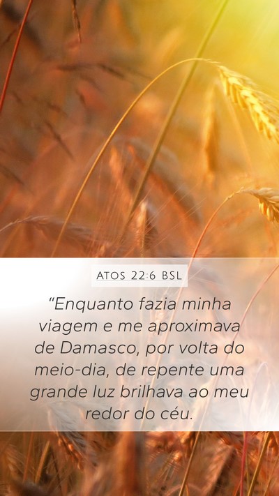 Atos 22:6 BSL Bible Verse Image