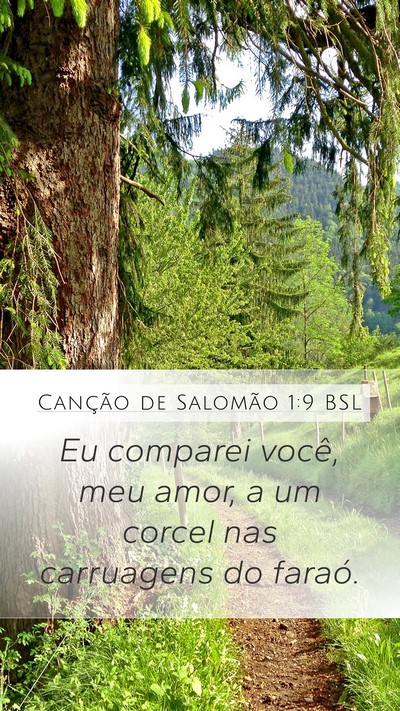 Canção de Salomão 1:9 BSL Bible Verse Image