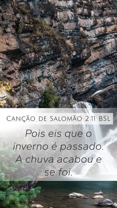 Canção de Salomão 2:11 BSL Bible Verse Image