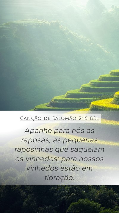 Canção de Salomão 2:15 BSL Bible Verse Image