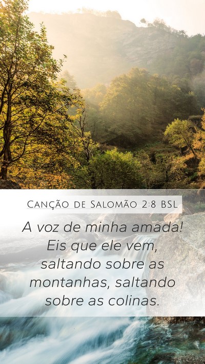 Canção de Salomão 2:8 BSL Bible Verse Image