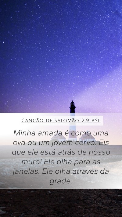 Canção de Salomão 2:9 BSL Bible Verse Image