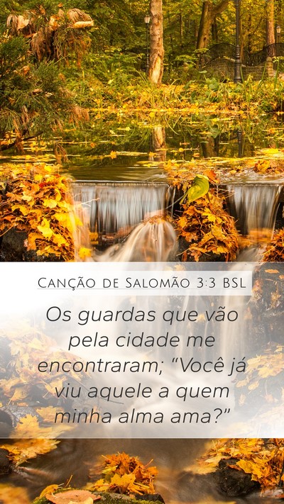 Canção de Salomão 3:3 BSL Bible Verse Image