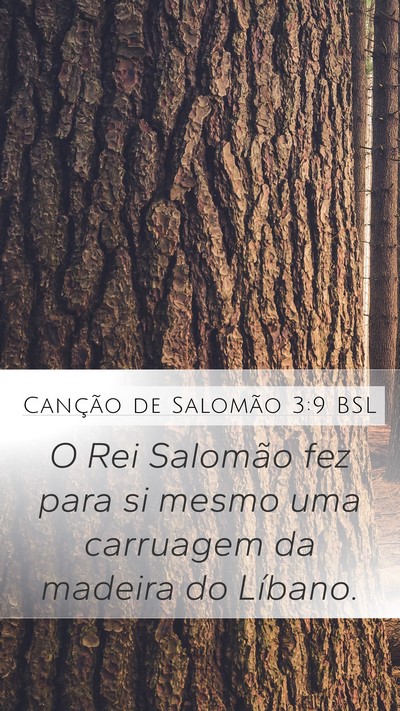 Canção de Salomão 3:9 BSL Bible Verse Image