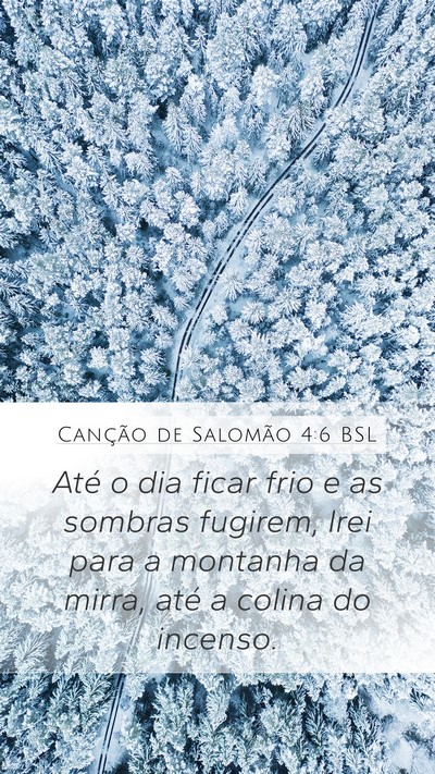Canção de Salomão 4:6 BSL Mobile Phone Wallpaper - Até o dia ficar frio e as sombras fugirem, Irei - Mobile Bible Verse Wallpaper